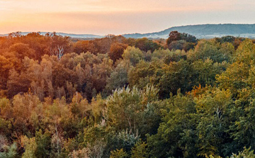 Coucoo Cabanes Des Grands Lacs