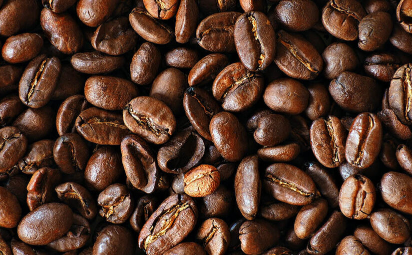 THE VILLAGE UNDER THE STARS