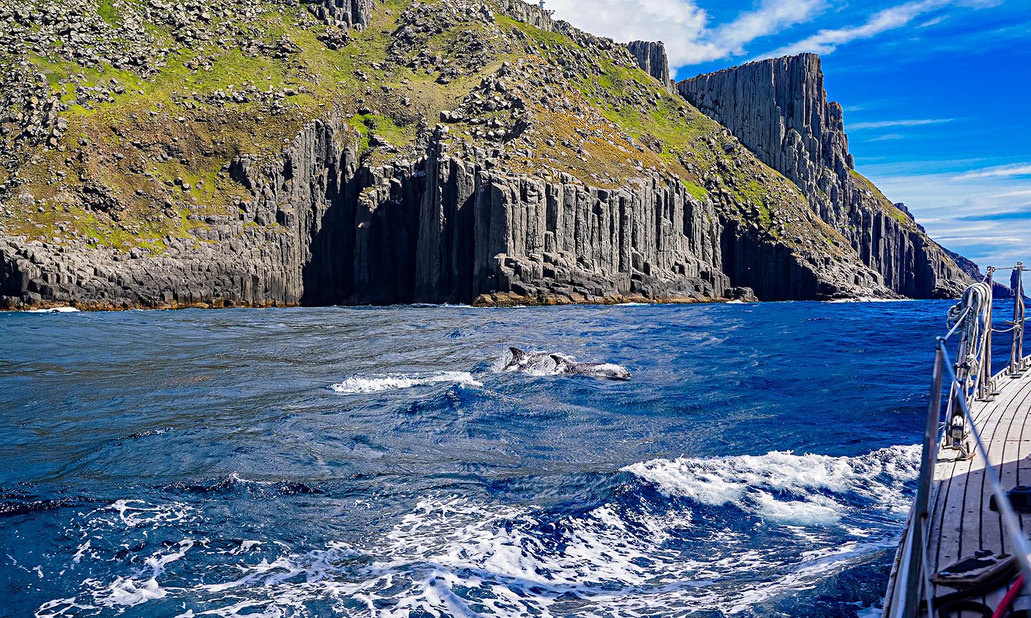 Two dolphins chase a sailboat off the coast of Tasman Island.