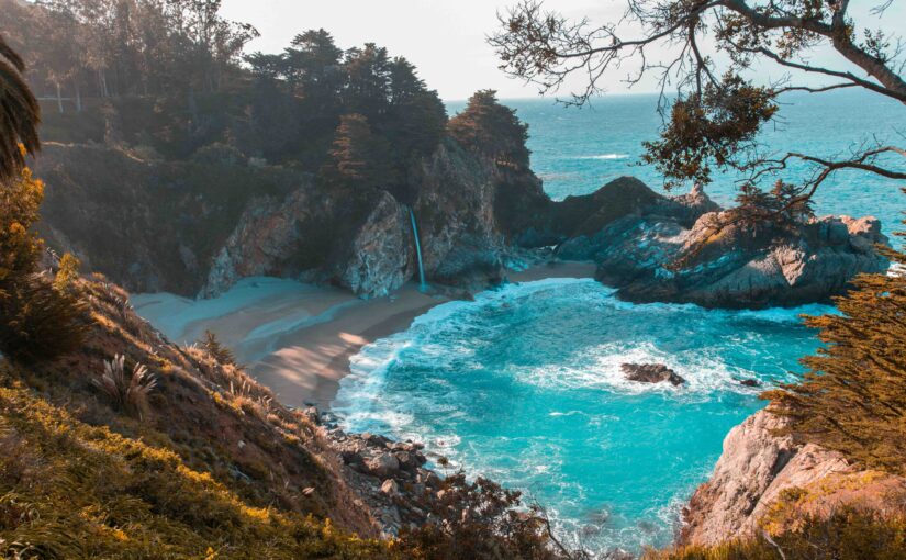 WINNER WINNER LONELY PLANET DINNER