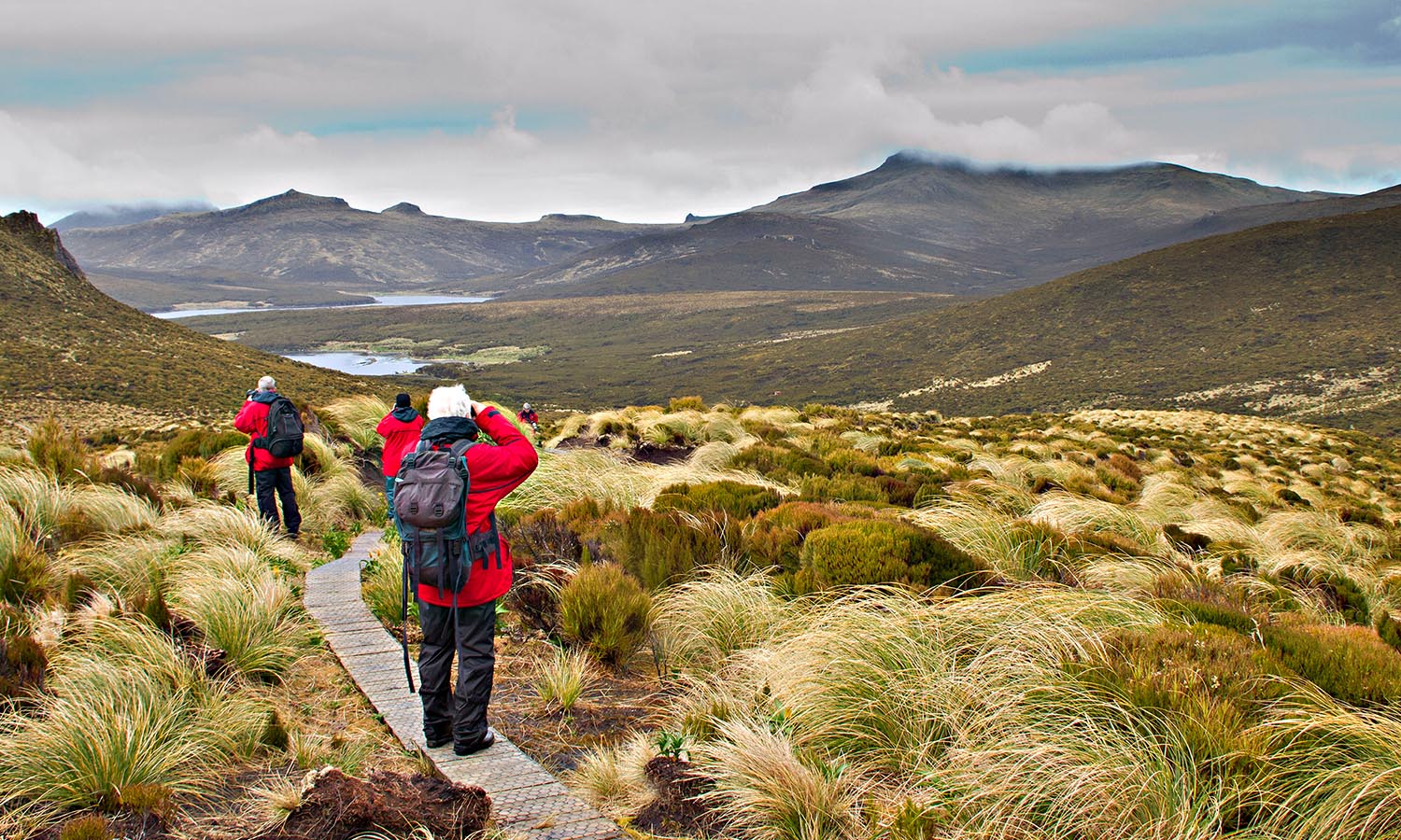 Travellers trekking along a grassy landscape on Auckland Island.