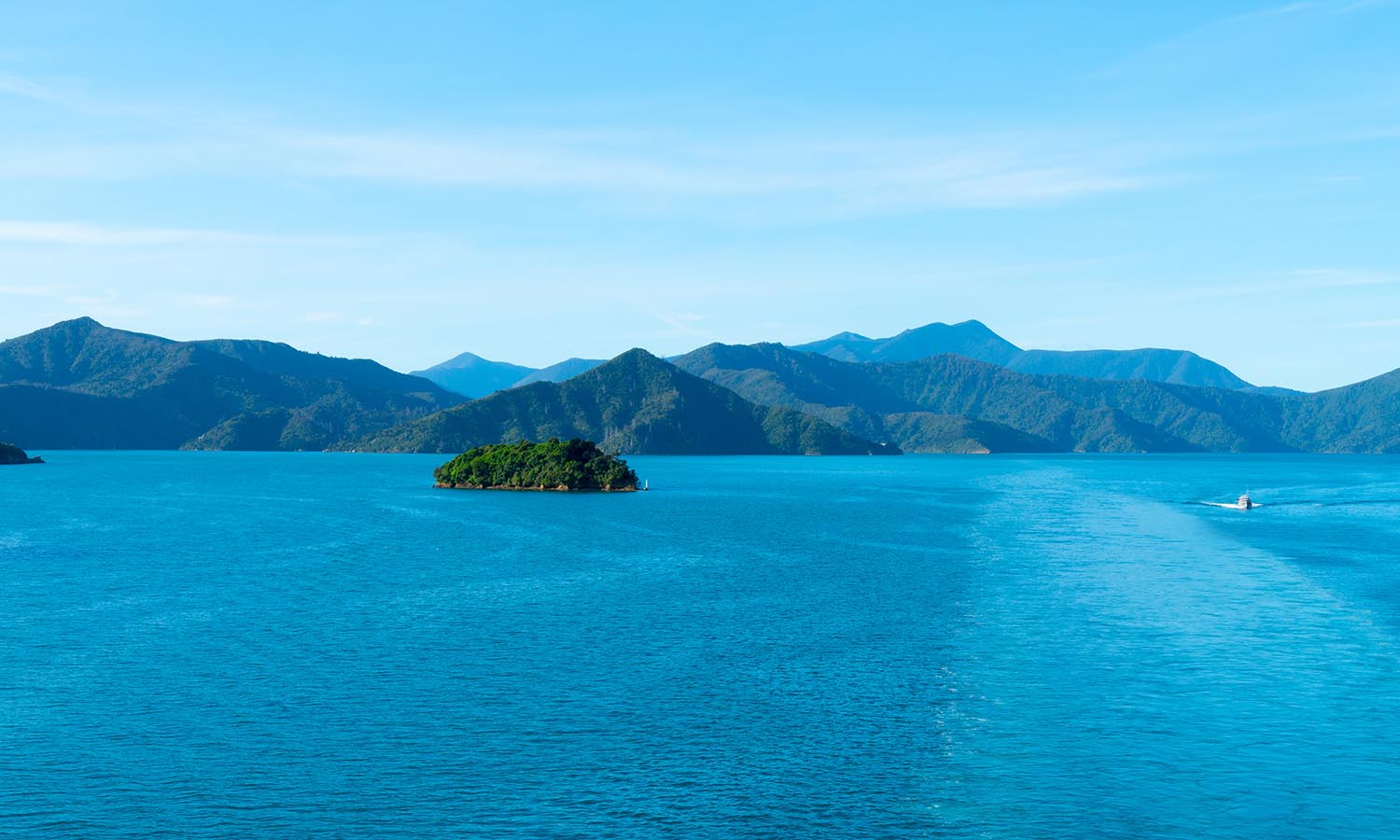 The turquoise blue water surrounding Moturua Island in New Zealand.