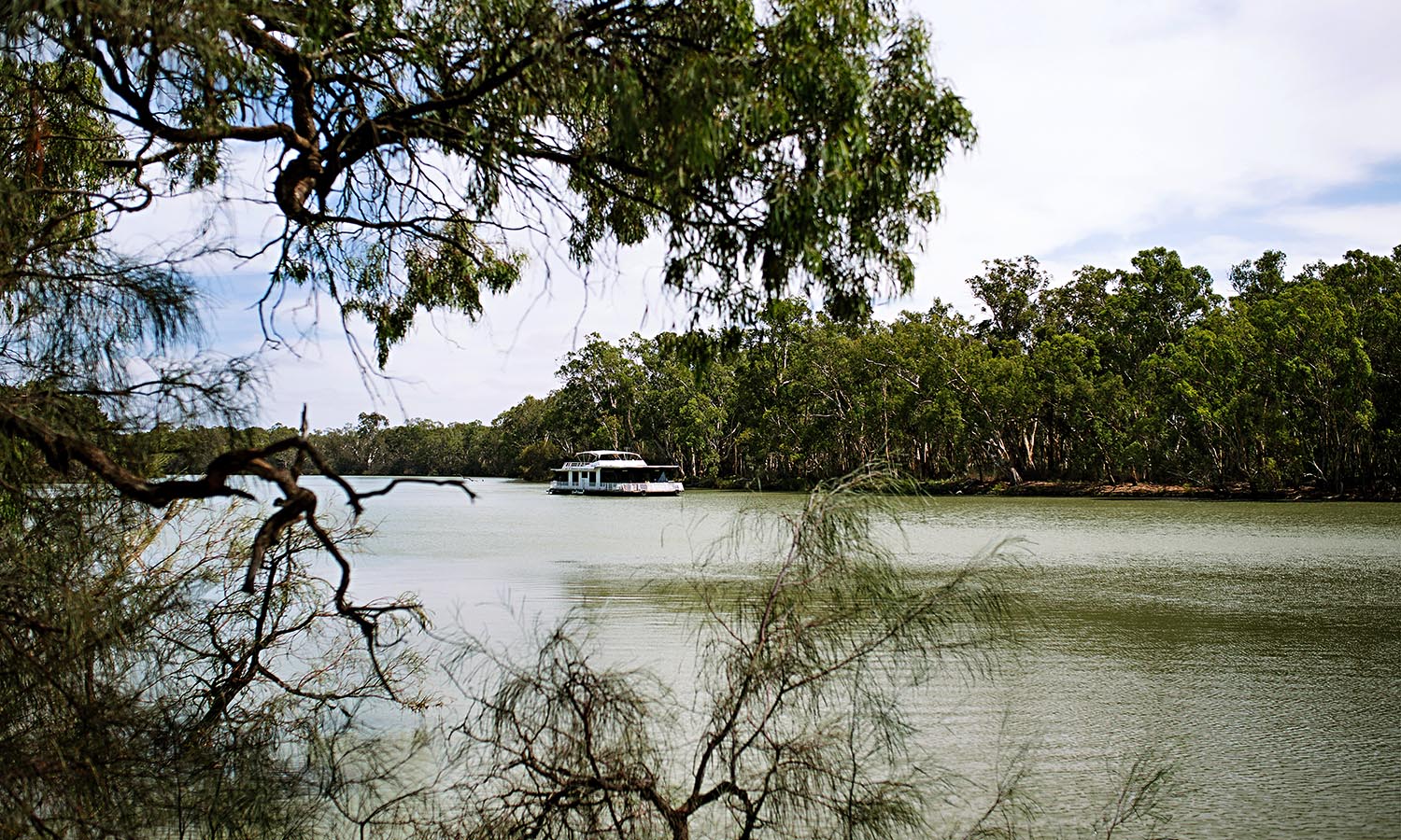 A houseboat gently floats down the Murray River with lush greenery on either side of the river bank. 