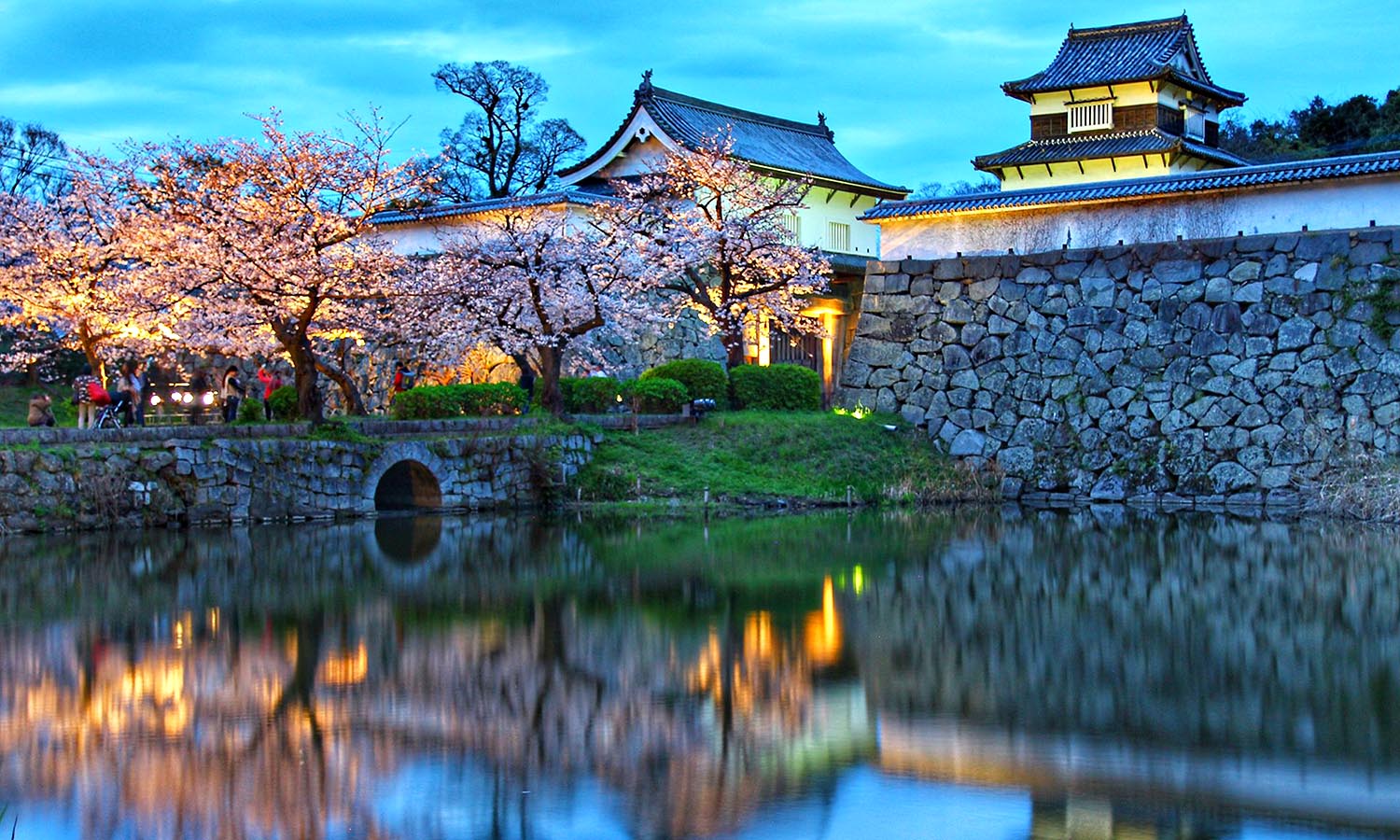 Cherry blossom trees in full bloom alongside a river in the Fukuoka Prefecture.