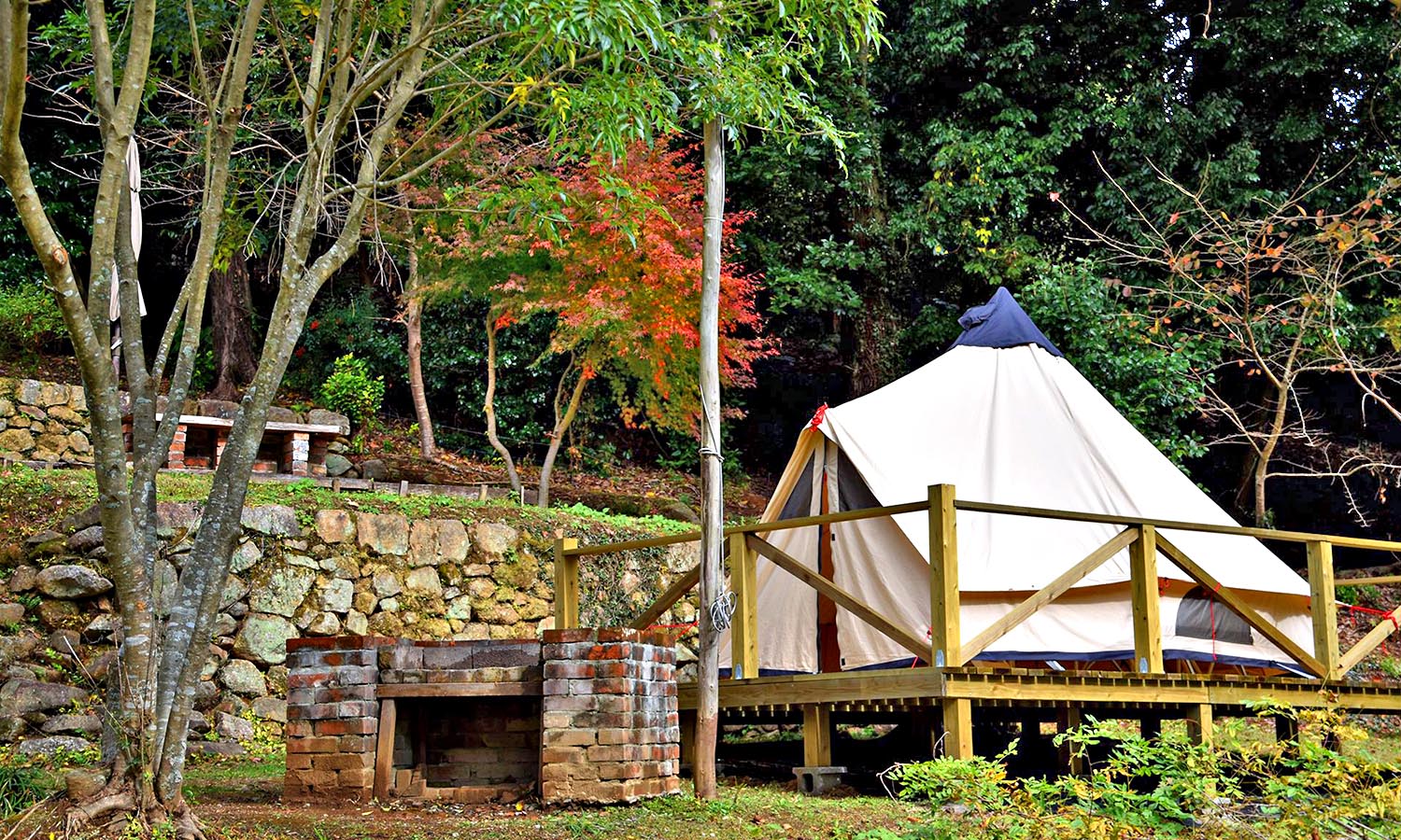 A glamping tent set up in a forest. 