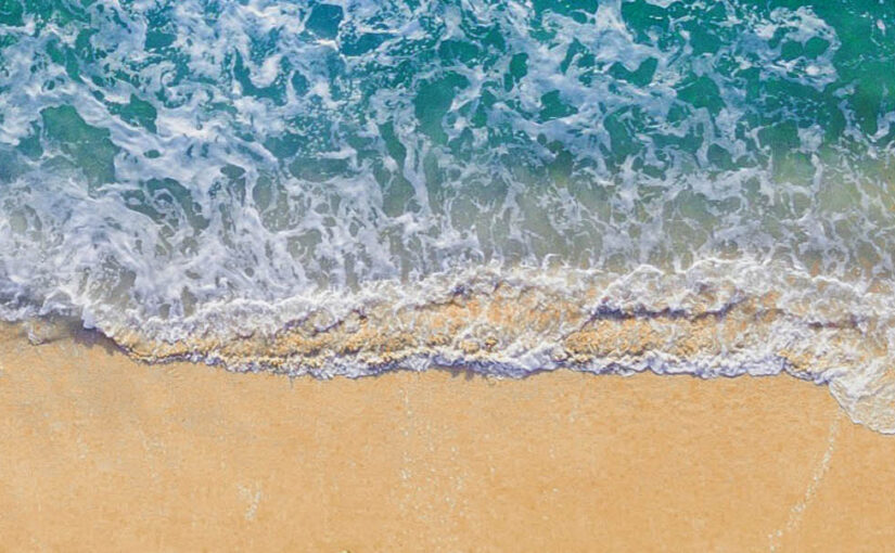 Piha Beach named this year’s best beach