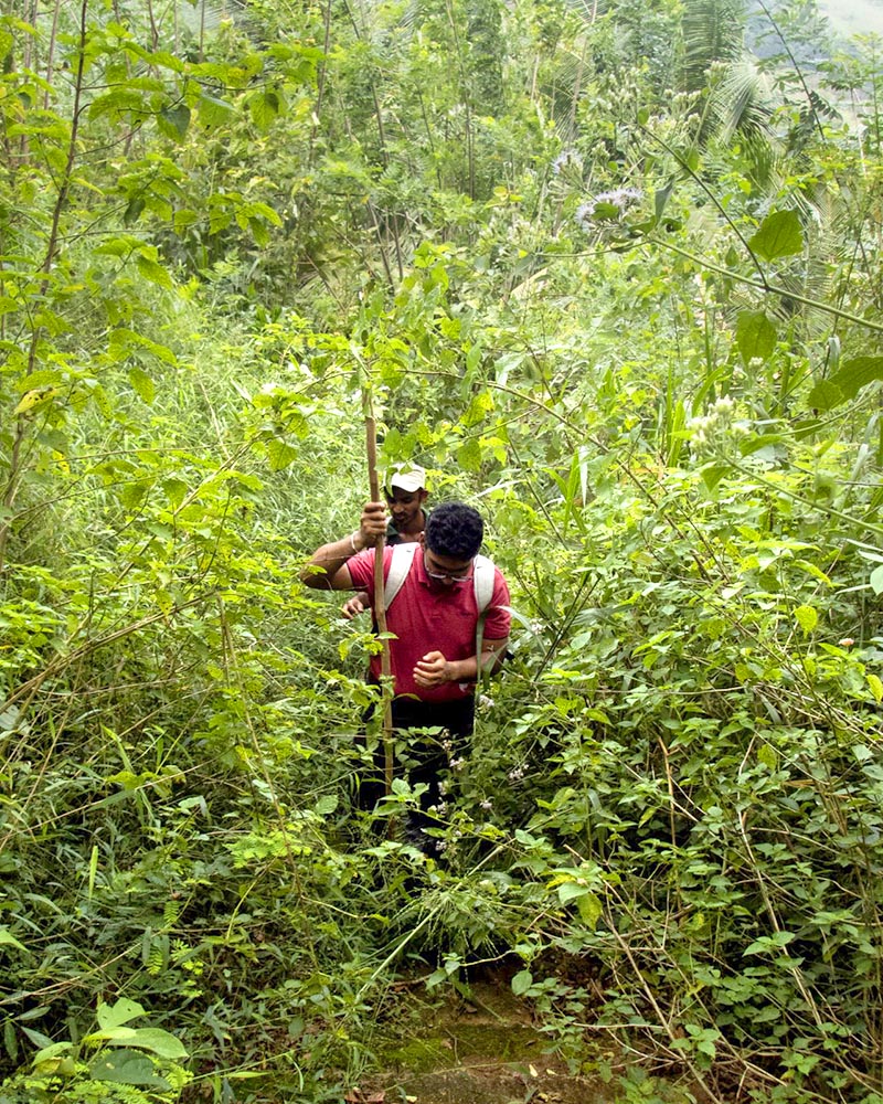Cutting through swathes of tall manna grass. 