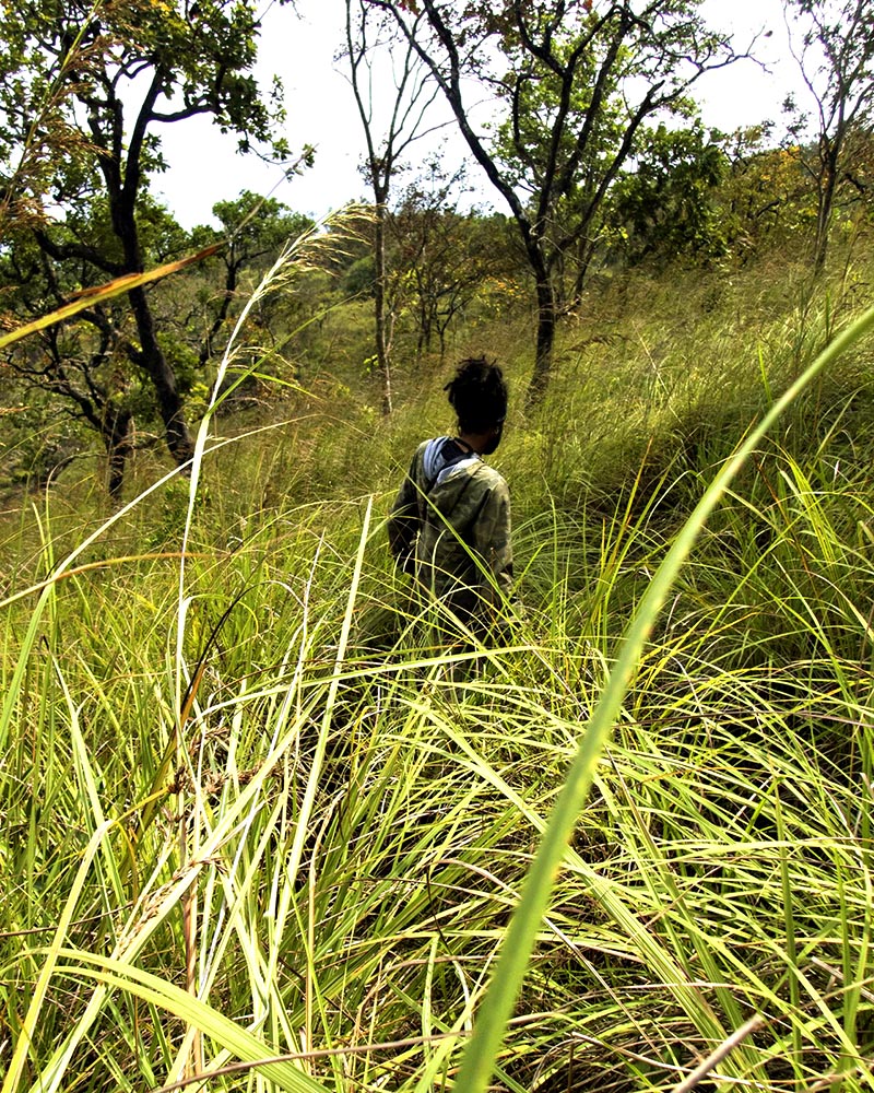 Lost? Not a chance. Sri Lanka is a miscellany of terrain. 