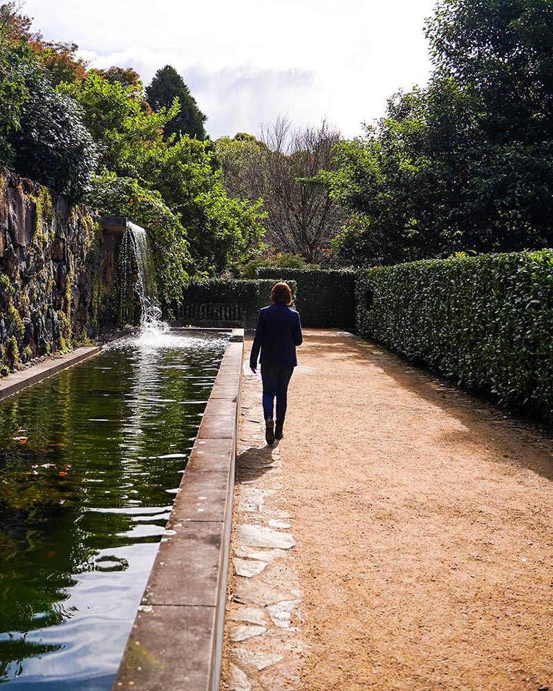 The Blue Mountains Botanical Gardens in Mount Tomah.