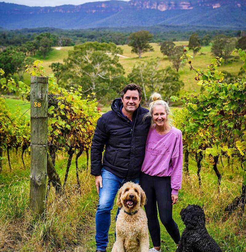 A couple poses for the camera in a lush vineyard surrounded by their two dogs.