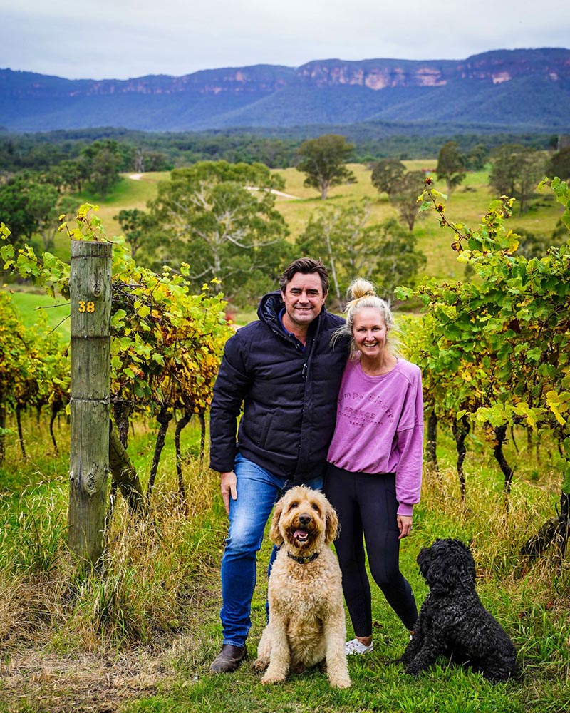 A couple poses for the camera in a lush vineyard surrounded by their two dogs. 