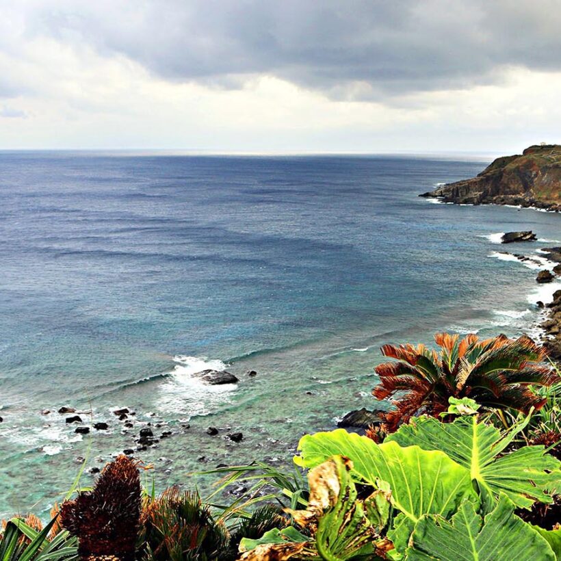 The stunning coastline of Yonaguni with lush plant life and waves crashing against the rocky shore.