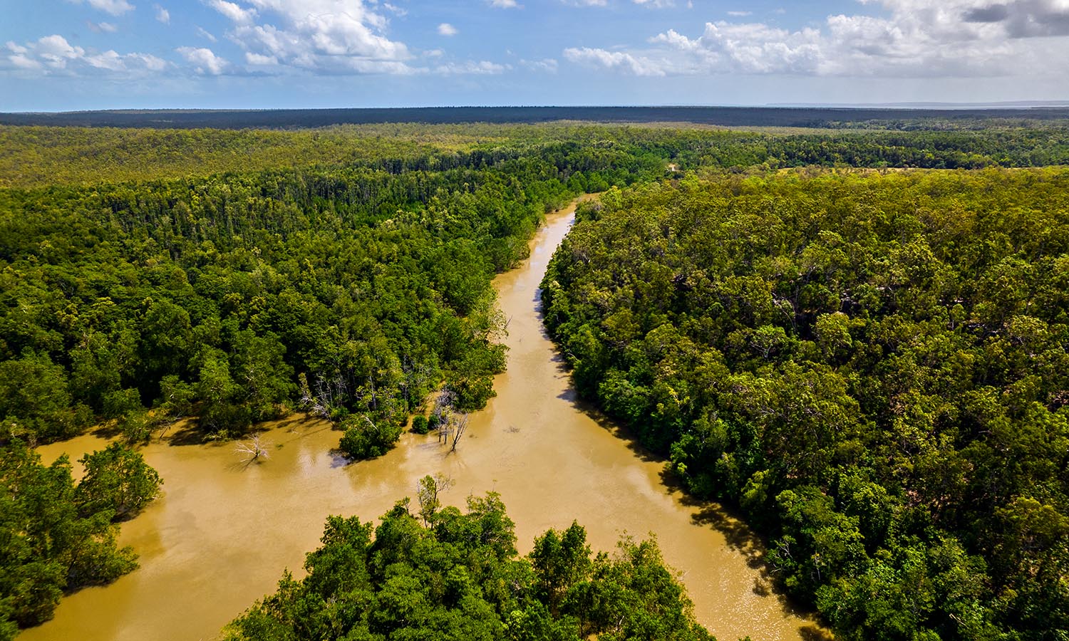 A brown river snaking through lush greenery into Arnhem Bay.