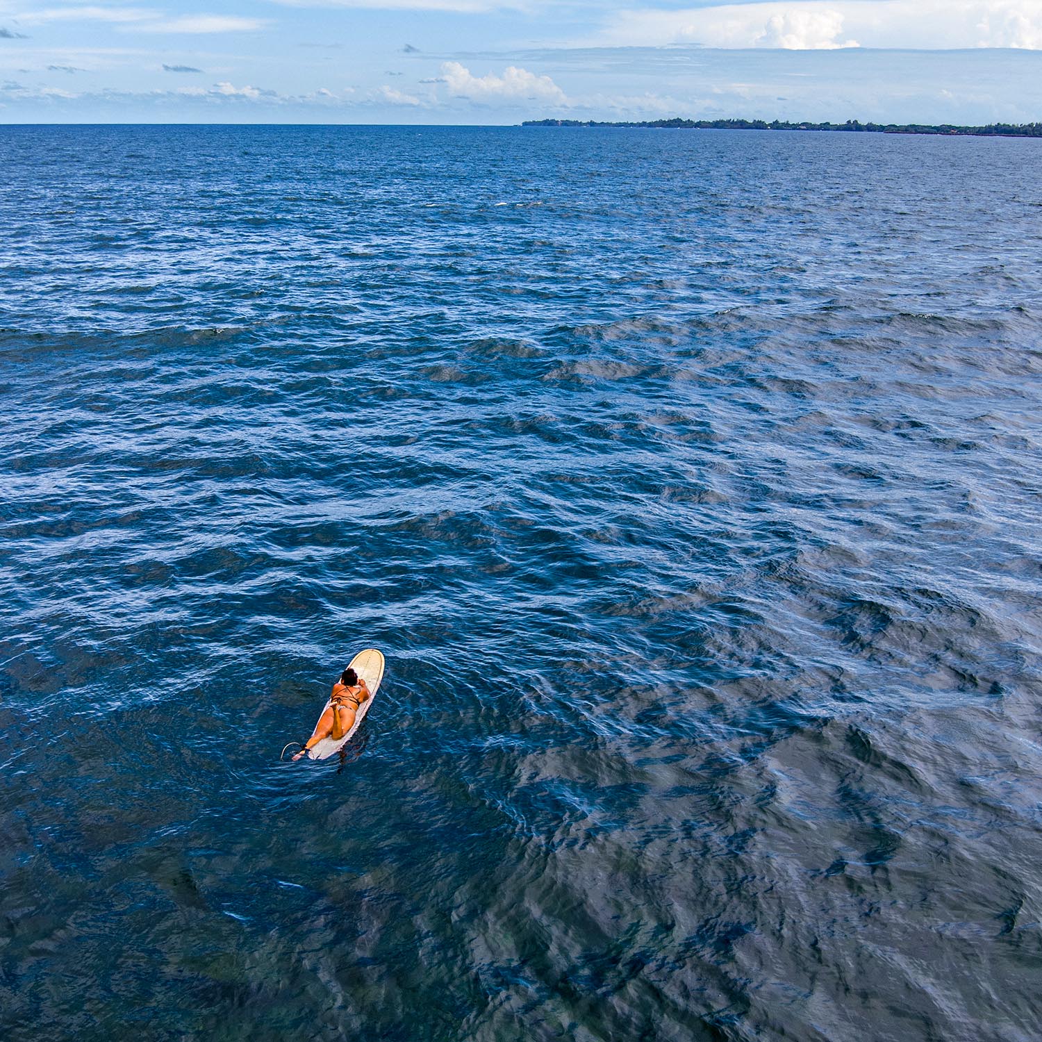 A surfer waits for the next set on the Island of Hawaiʻi.