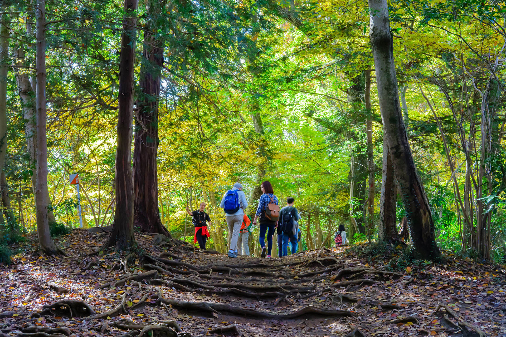 Mt Takao is only an hour's train west of the city.