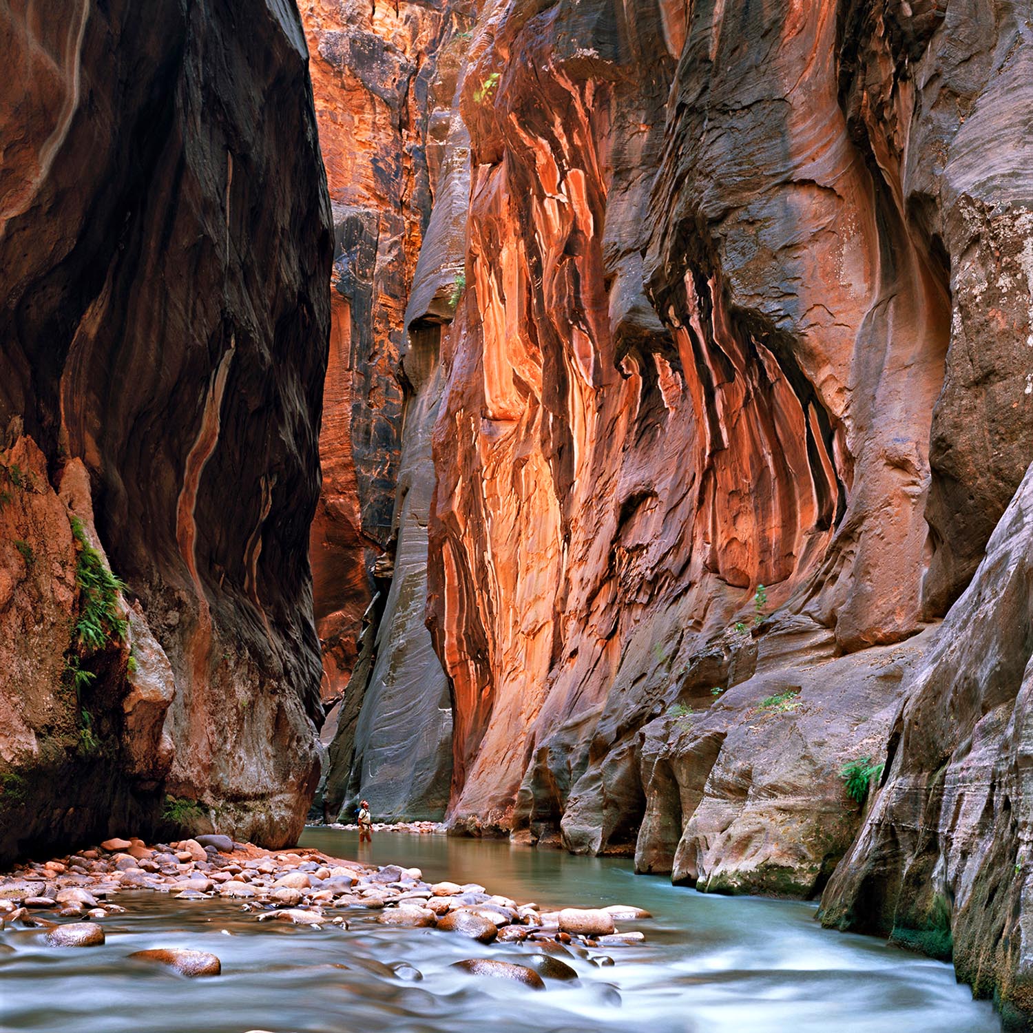Utah's landscape is a variety of sedimentary, igneous, and metamorphic rocks. 