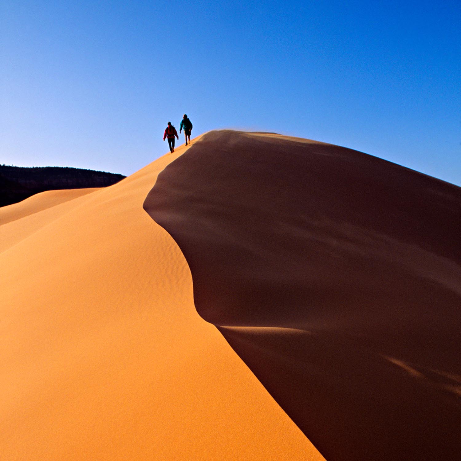 In the same state as killer ski slopes are dunes like the Coral Pink Sand Dunes, and other deserts—both hot and cold. 