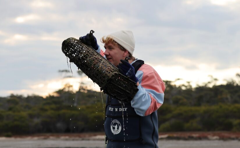 Swap your day job for an Odd Job