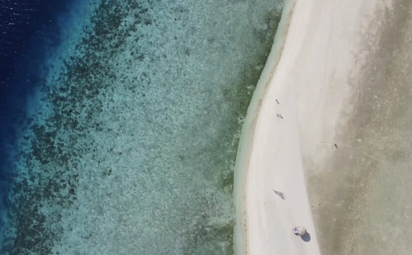 Borneo’s beach and wildlife