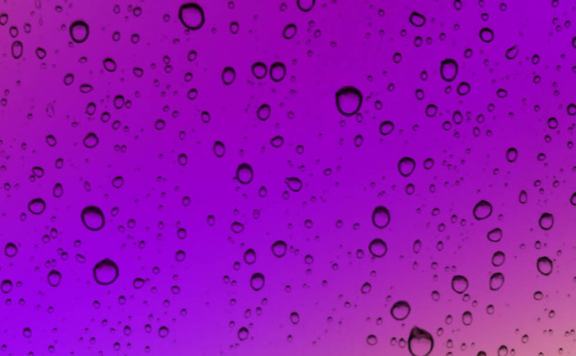 Prince’s Purple Rain House