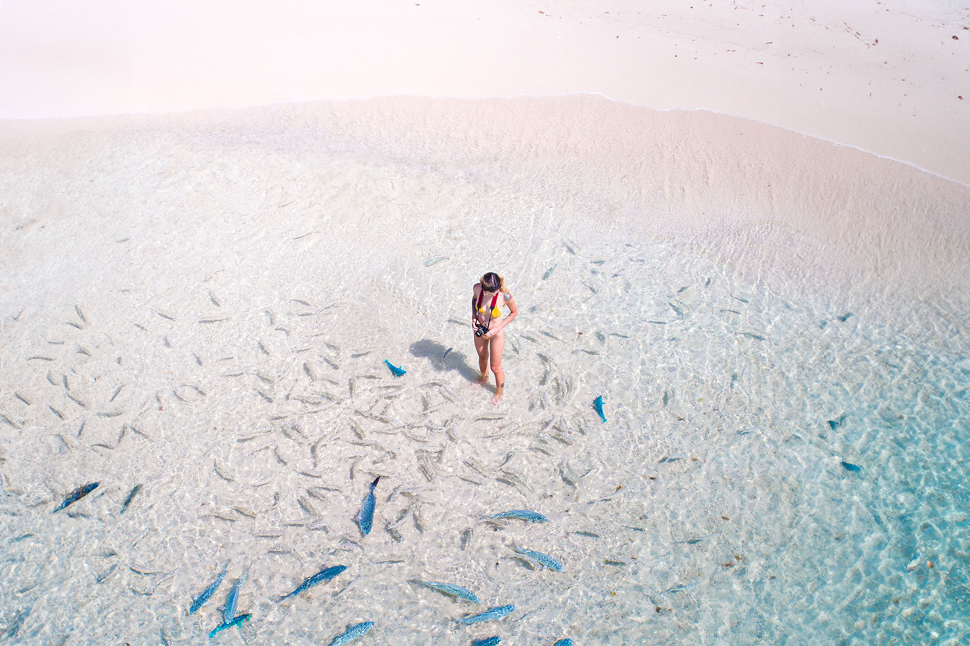 A woman stands in clear, shallow water as small fish swim around her feet.