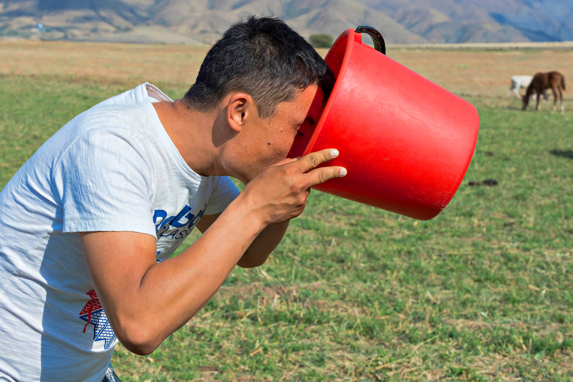 A bucket of kumis.