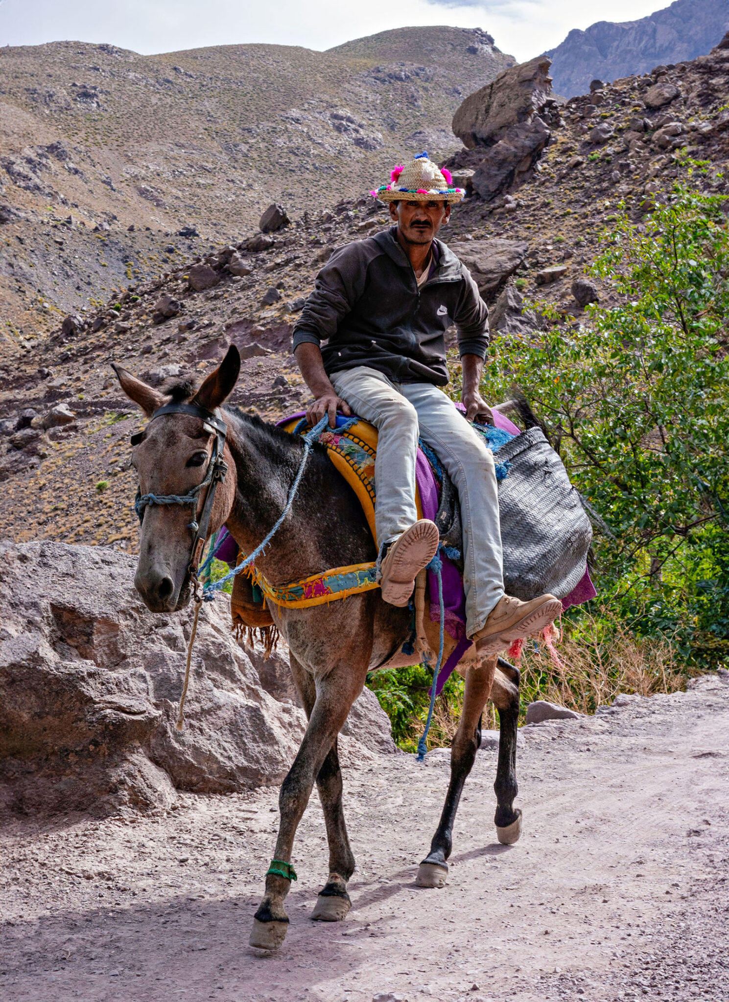 This is how they ride in Morocco, apparently. 