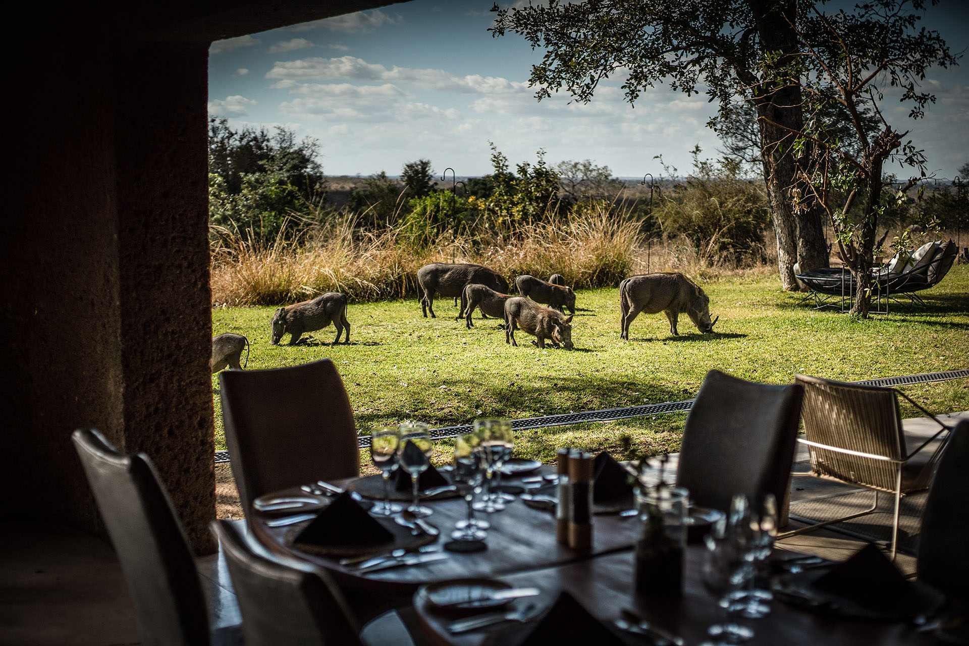 Dinner with a view.