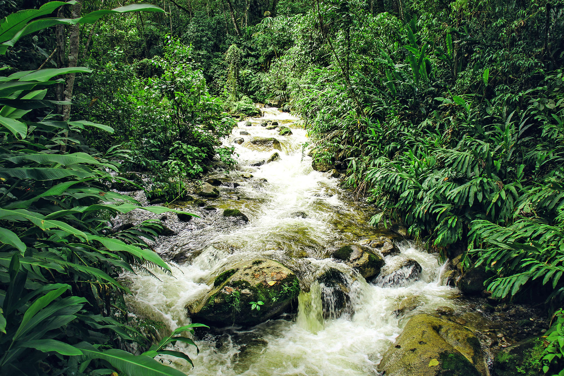 A cascading river in the Amazon jungle, Peru.
