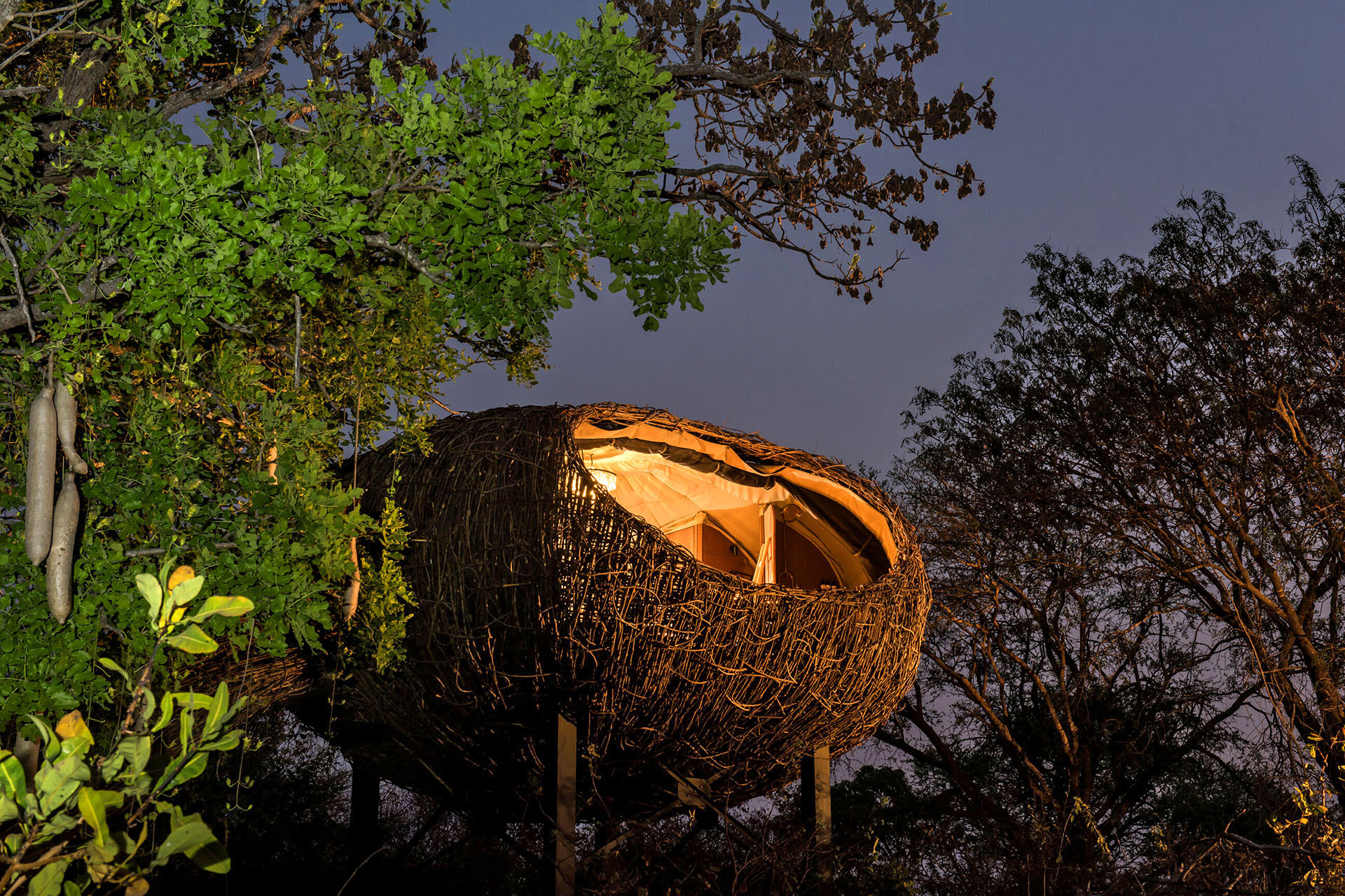 A treehouse structure among lush greenery in Zambia.