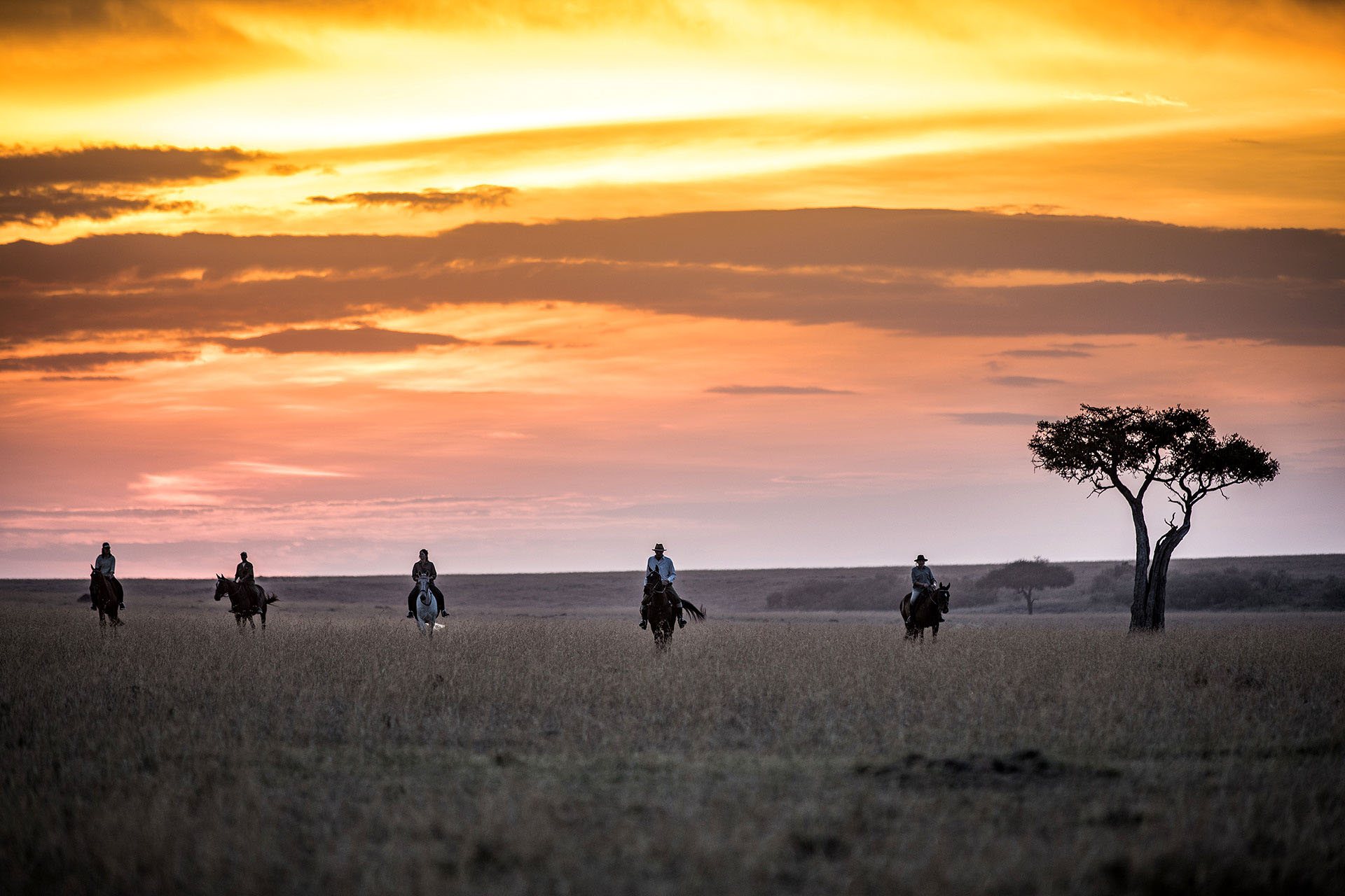 A group of people on horseback in the middle of Masai Mara at sunset.