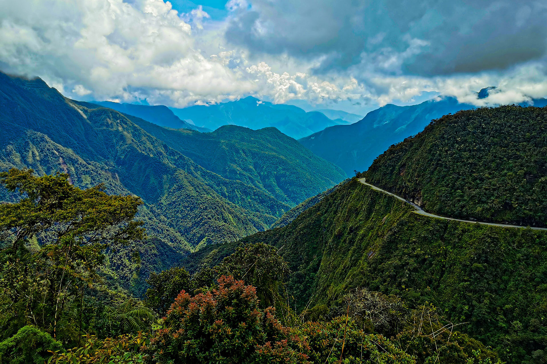 A road snakes its way around a luscious green mountain in Bolivia.