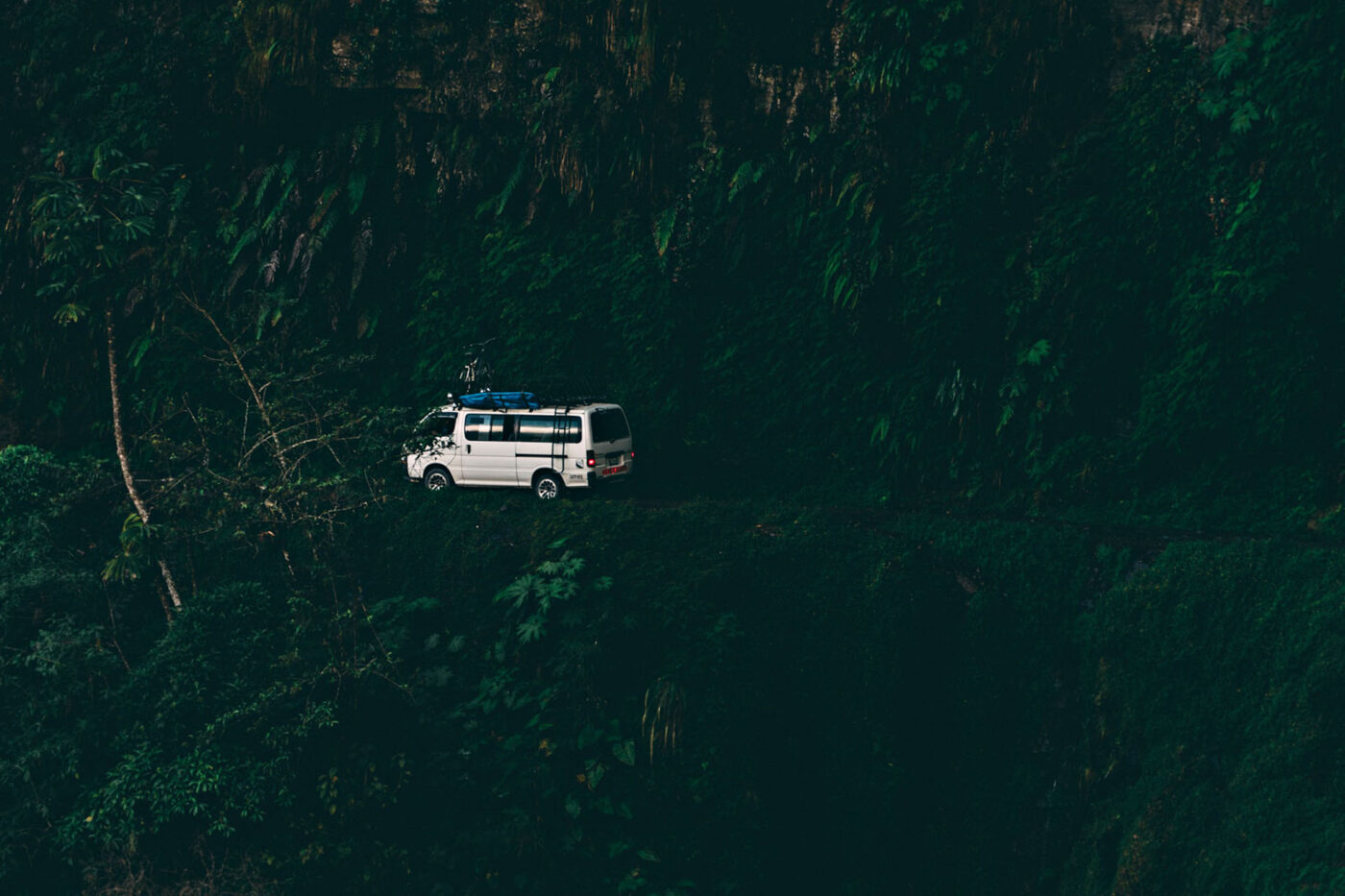 A car drives on a road surrounded luscious and overflowing greenery.
