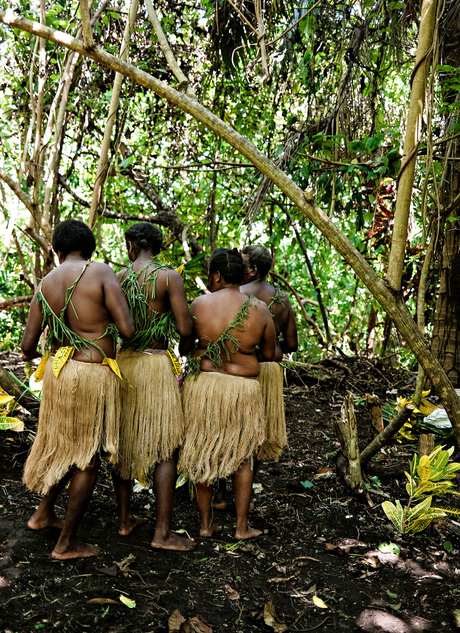 Kava is an important part of tradition and ceremony in Vanuatu. 