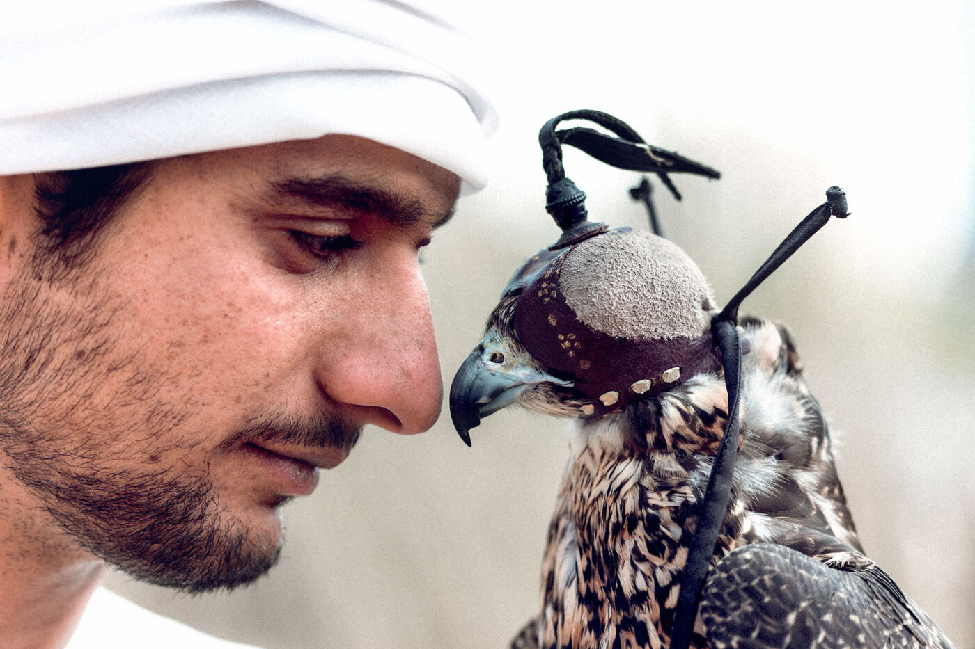 A man almost touches noses with a falcon, who's dressed in traditional a Middle Eastern costume.