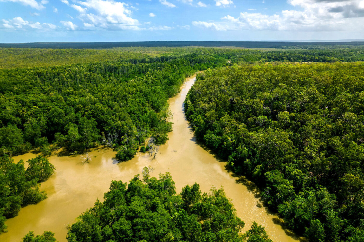 Waterways spiral out amid the lush green foliage of Arnhem Land.