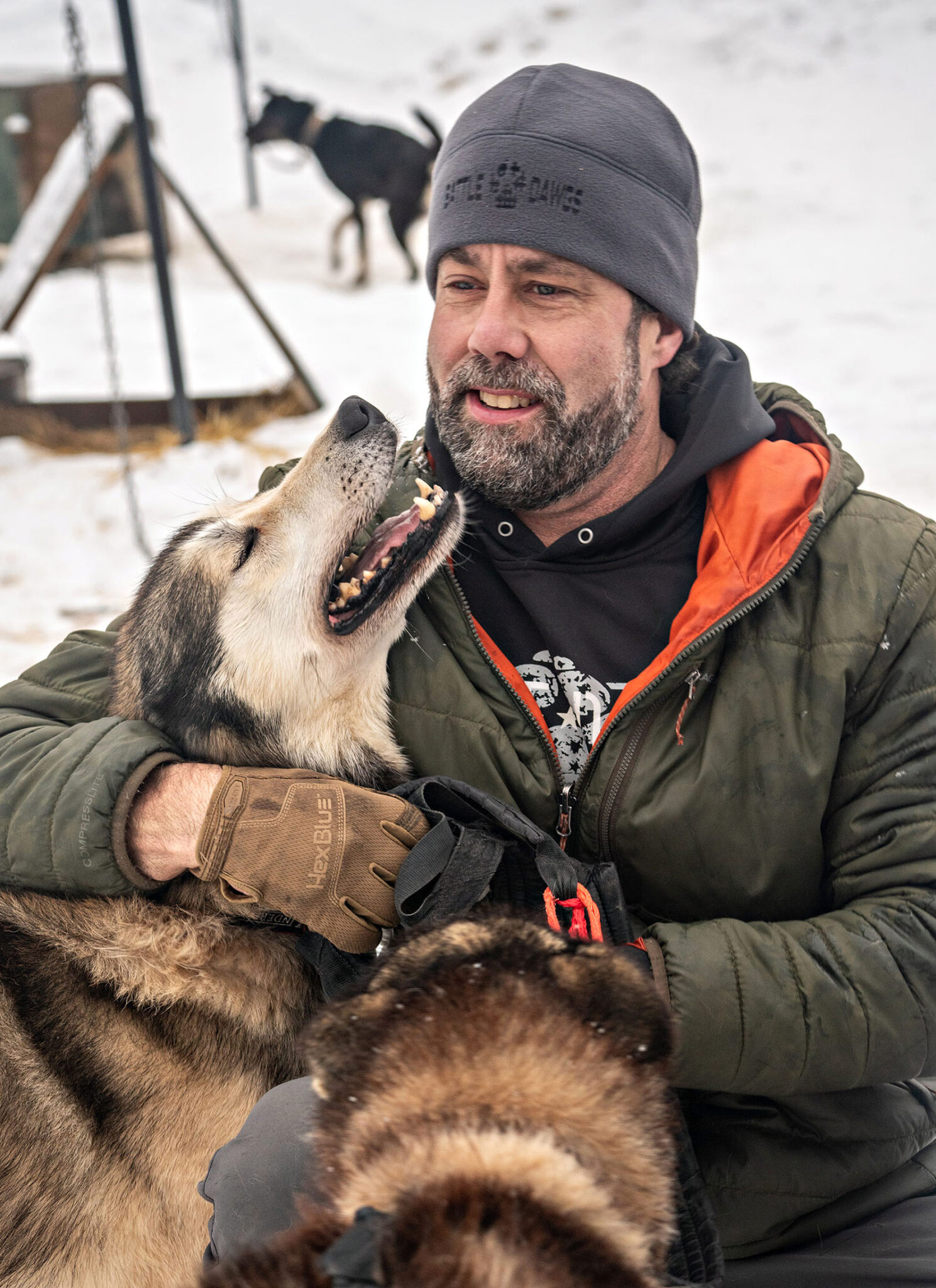 This is what I suppose they call puppy love, which is on tap at Battle Dogs.