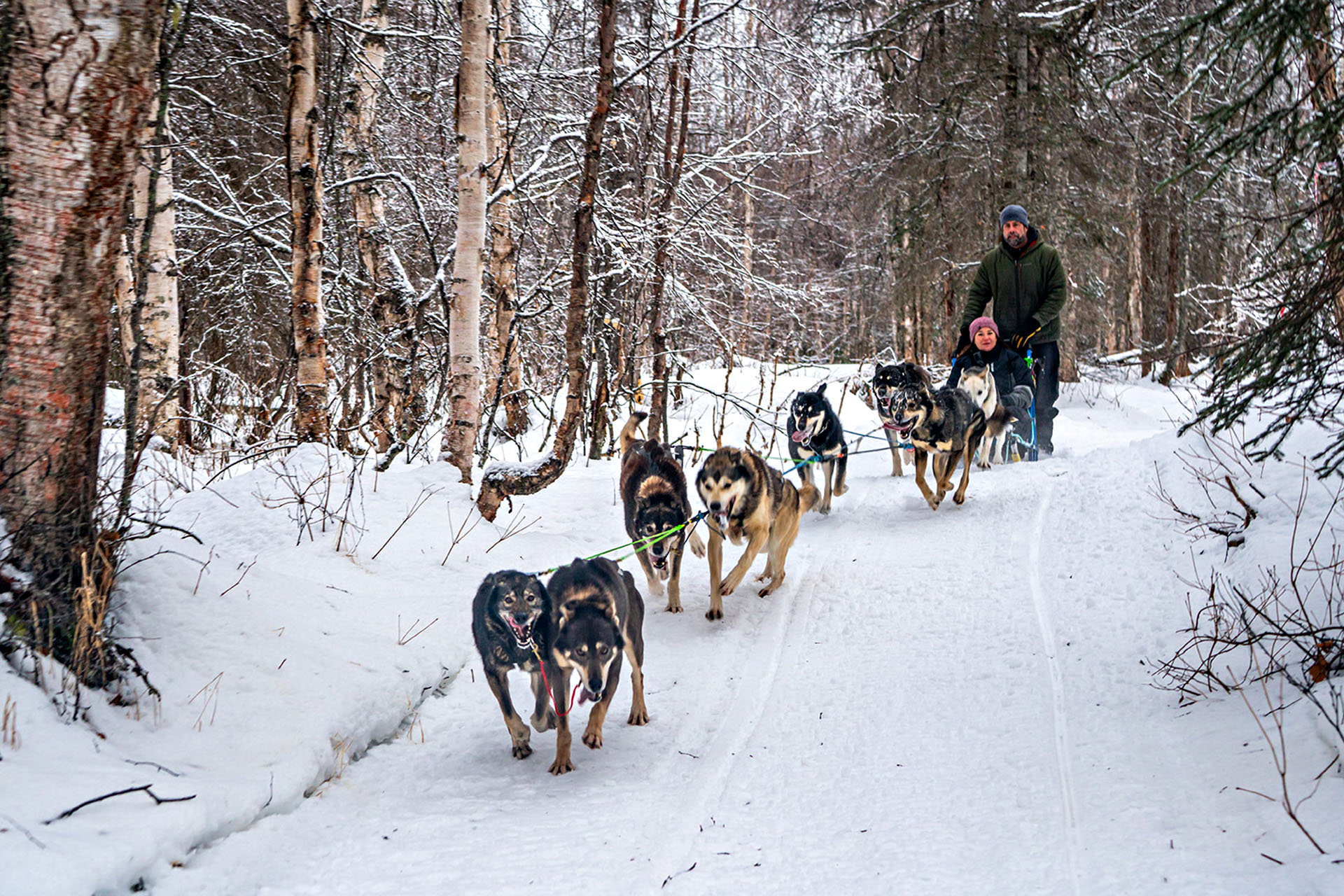 Rick Casillo, 10 time Iditarod musher, with his amazing sled dogs.