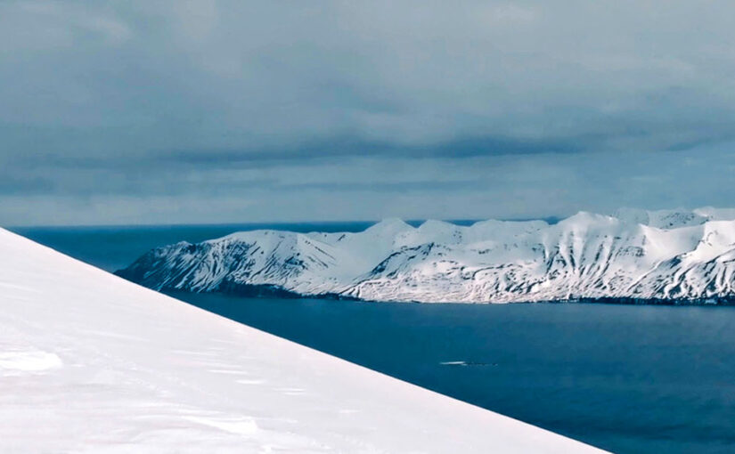 Selar expeditions set to launch in 2026