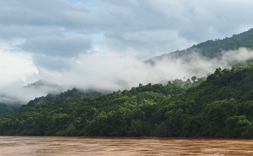 Float, feast, repeat