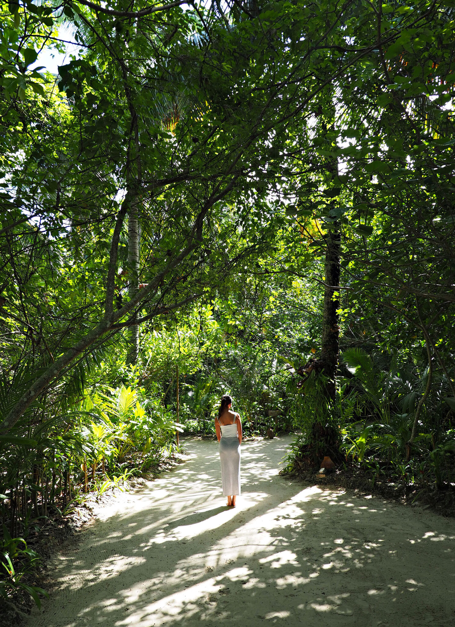 Molly wanders a jungle path. 