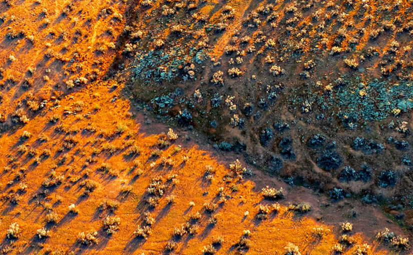 The Australia I’m starting to know: dust, rocks and reflections