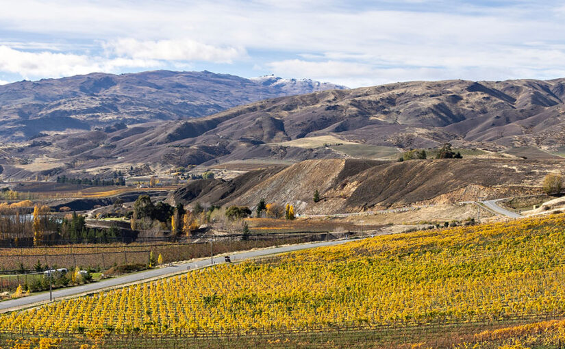 Get set to cycle NZ’s newest trail