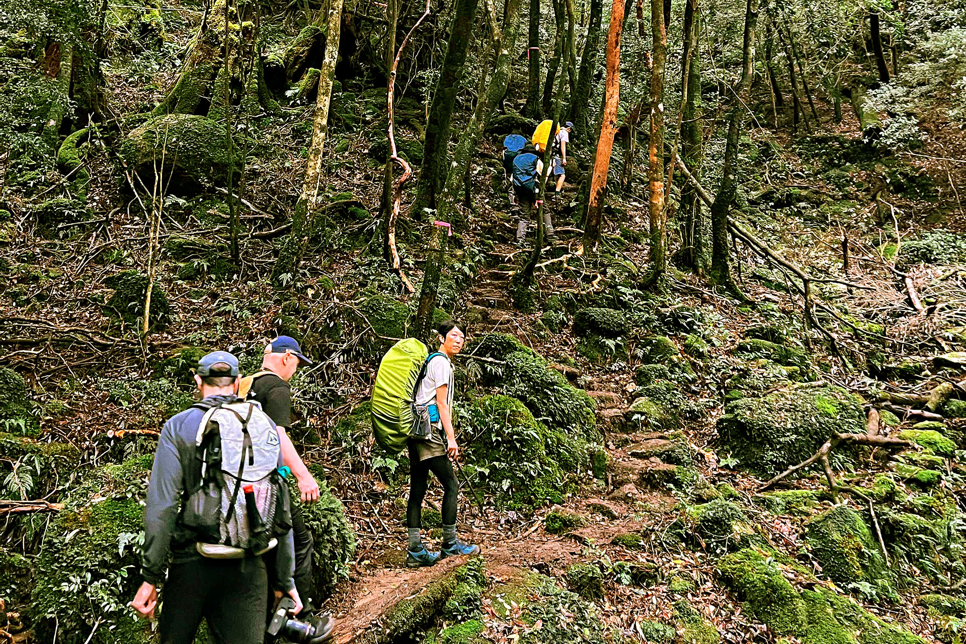 Adventure Travel in Kyushu: Hiking Yakushima and Mount Aso - Get Lost