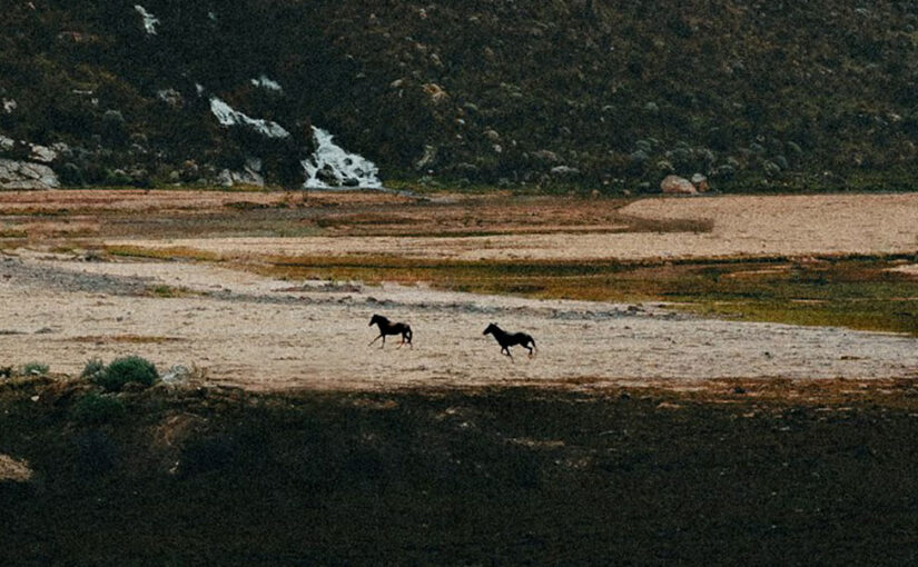 Oddtrips has launched