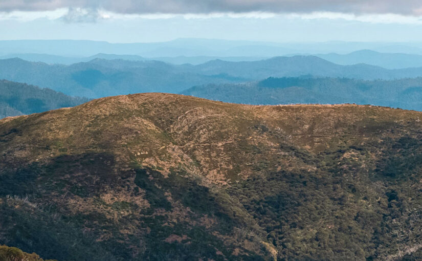 Explore Mount Hotham with Highlander Adventure