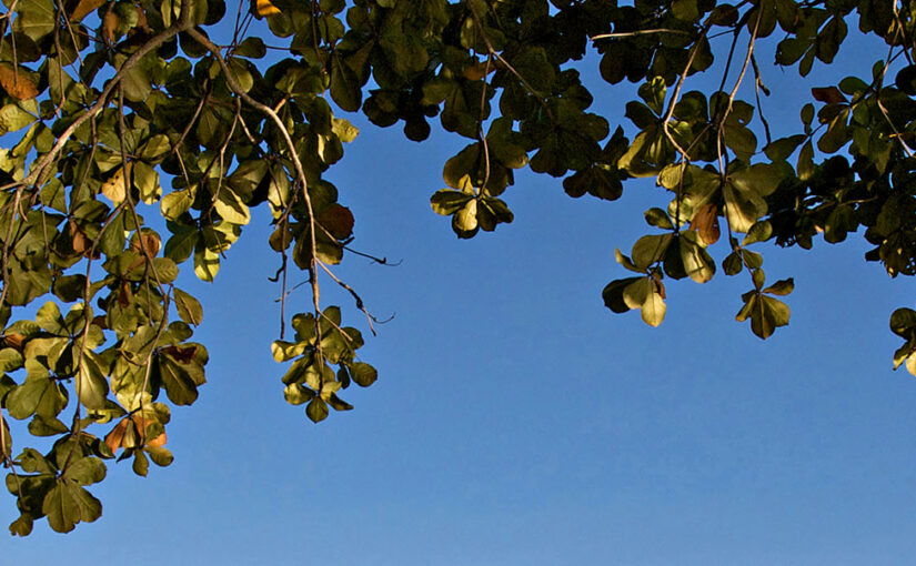 Coastal retreat launches regenerative stay