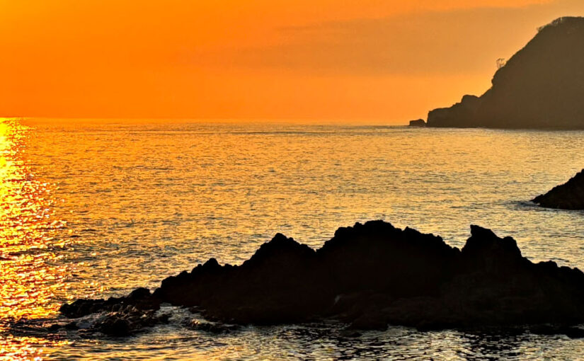 Sushi. Samurai. Sake. Swimming.