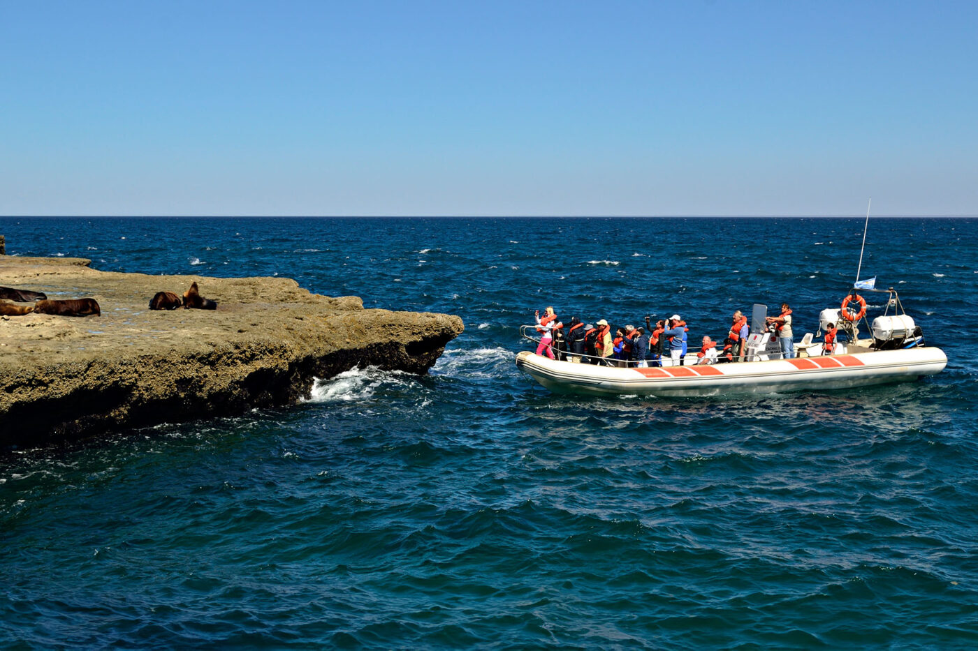 Wildlife cruise approaching a colony of southern elephant seals on the coast of Peninsula Valdés, Argentina.