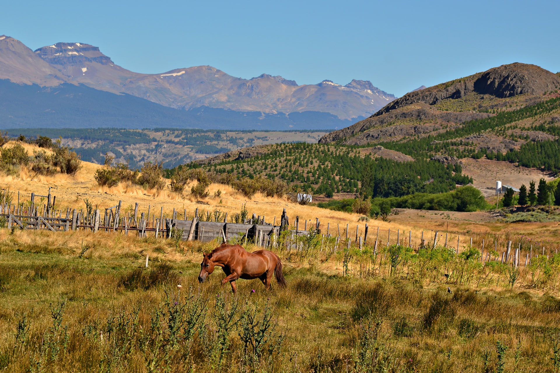 A horse farm on the way to Esquel.